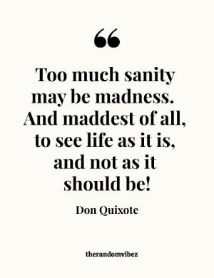 Quote From Don Quixote​