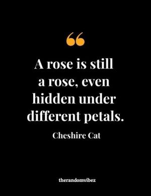 Quotes From Cheshire Cat