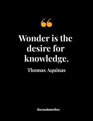 Quotes Of Saint Thomas Aquinas