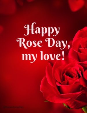 cute happy rose day 