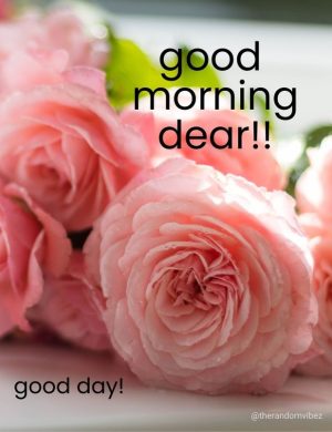 good morning my love images​