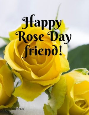 happy rose day friend
