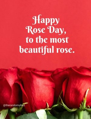 happy rose day hd​
