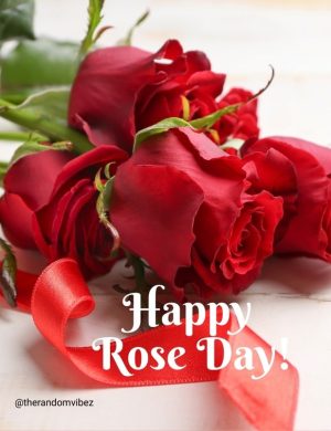 happy rose day pic