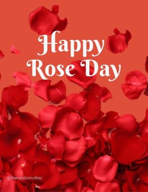 happy rose day​