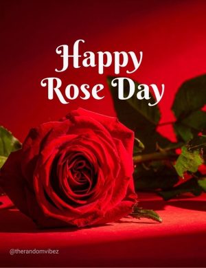 happy rose day​ wishes