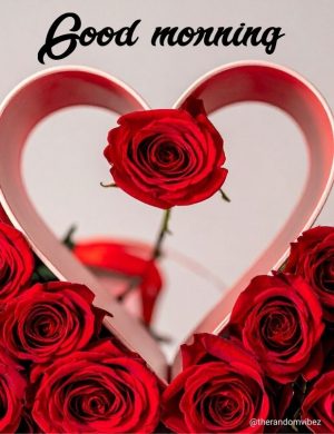 heart touching good morning love quotes​