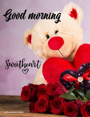 love good morning rose​