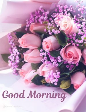 love good morning rose​ images