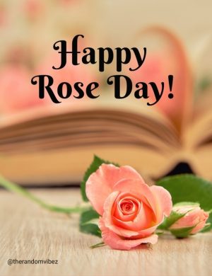 rose day greetings