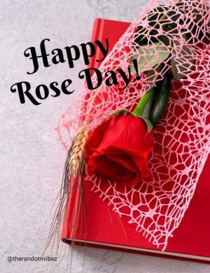 rose day pictures