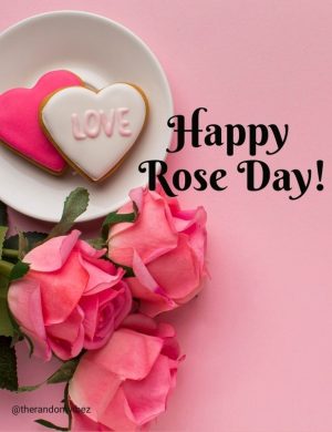 rose day pictures