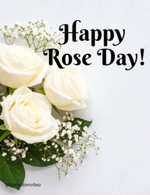 rose day wishes