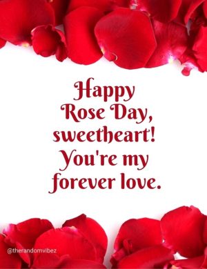 valentine week happy rose day​