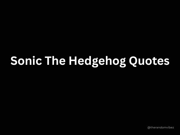 Sonic The Hedgehog Quotes