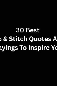 30 Best Lilo And Stitch Quotes And Sayings To Inspire You