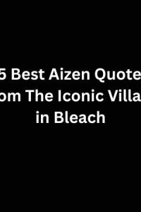 35 Best Aizen Quotes From The Iconic Villain in Bleach