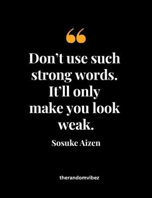 Aizen Quote