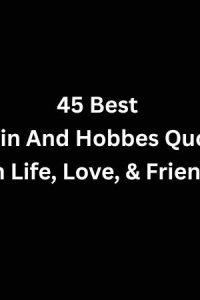 45 Best Calvin And Hobbes Quotes On Life, Love, & Friends