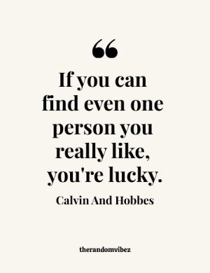 Best Calvin And Hobbes Quotes