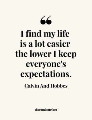 Calvin And Hobbes Life Quotes