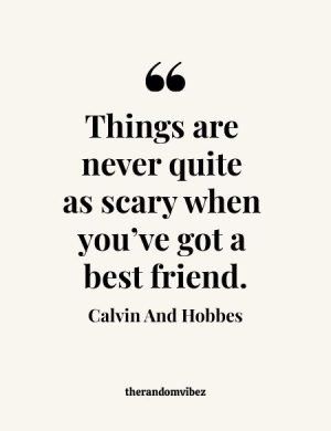 Calvin And Hobbes Quote