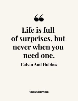 Calvin And Hobbes Quotes
