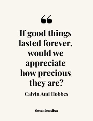 Great Calvin And Hobbes Quotes
