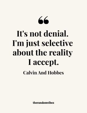 Quotes From Calvin And Hobbes