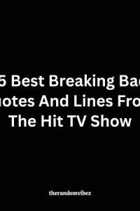 35 Best Breaking Bad Quotes And Lines From The Hit TV Show