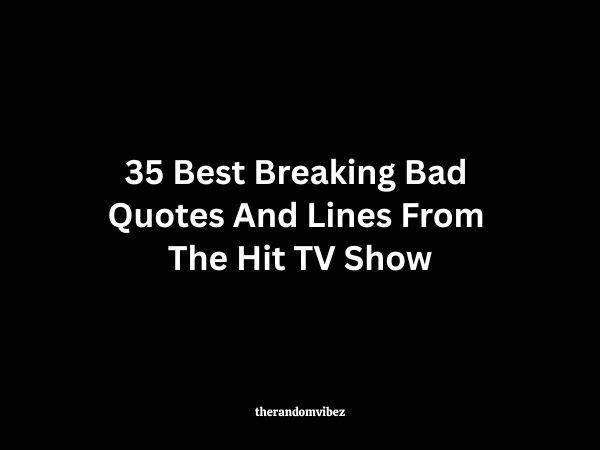 35 Best Breaking Bad Quotes And Lines From The Hit TV Show