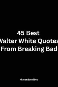 45 Best Walter White Quotes From Breaking Bad