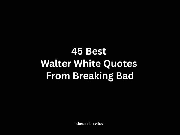45 Best Walter White Quotes From Breaking Bad