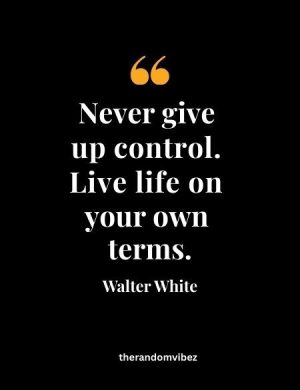 Breaking Bad Walter White Quotes