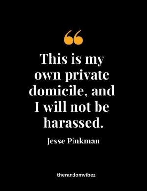 Famous Jesse Pinkman Quotes