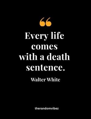 Great Breaking Bad Quotes