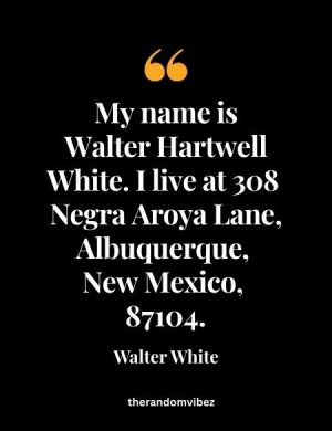 My Name Is Walter Hartwell White Full Quote