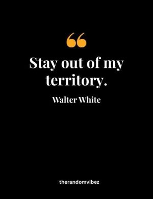 Walter White Quotes