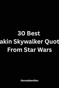 30 Best Anakin Skywalker Quotes From Star Wars