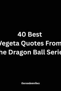 40 Best Vegeta Quotes From The Dragon Ball Series