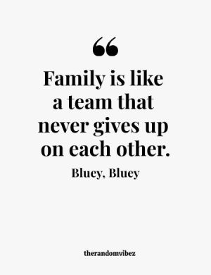 Bluey Quotes About Family