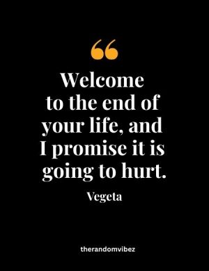 Dragon Ball Z Vegeta Quotes