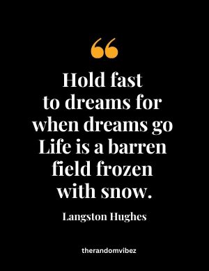 Langston Hughes Best Quotes