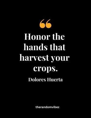 Quotes By Dolores Huerta