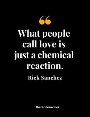 Rick And Morty Love Quote