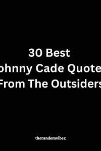 30 Best Johnny Cade Quotes From The Outsiders