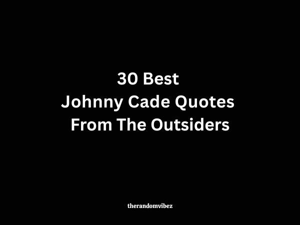 30 Best Johnny Cade Quotes From The Outsiders