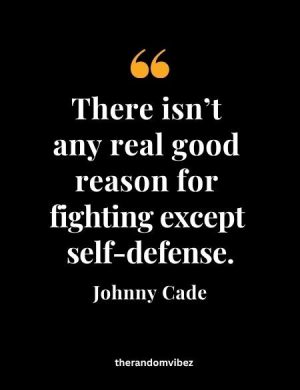 Best Johnny Cade Quotes