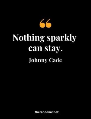 Johnny Cade Quotes
