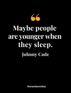 Johnny Cade The Outsiders Quotes